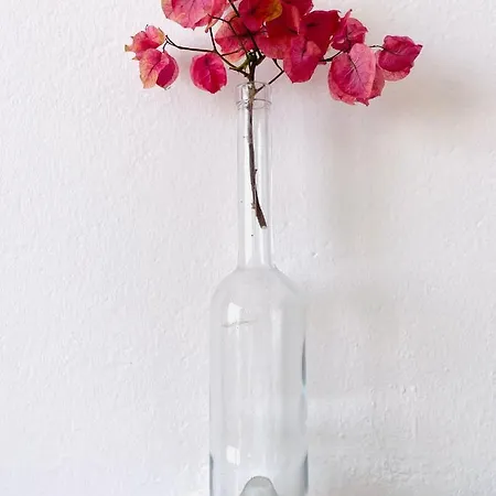 Casa Pura Vida Y El Mar Vakantiehuis